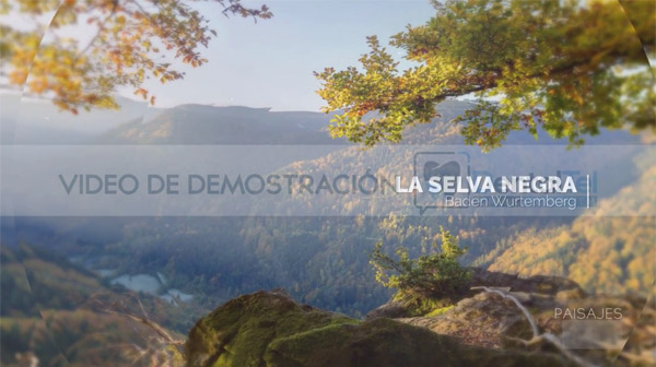 Entretenimiento clinica dental